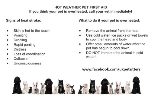 Heat stroke advice for your pets