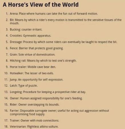 A horses view of the world