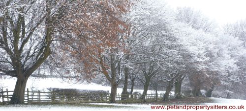 Weather watch in North Yorkshire